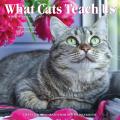 What Cats Teach Us 2025 7" x 7" Mini Wall Calendar