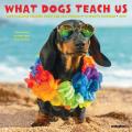 What Dogs Teach Us 2025 7" x 7" Mini Wall Calendar