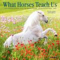 What Horses Teach Us 2025 7" x 7" Mini Wall Calendar