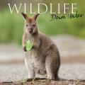 Wildlife Down Under 2025 12" x 12" Wall Calendar