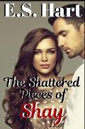 The Shattered Pieces of Shay: An Adult Contemporary Romance