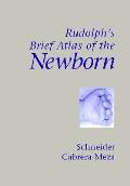 Rudolphs Brief Atlas Of The Newborn