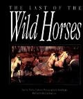 Last Of The Wild Horses