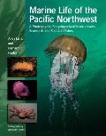 Marine Life of the Pacific Northwest A Photographic Encyclopedia of Invertebrates Seaweeds & Selected Fishes