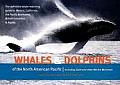 Whales & Dolphins of the North American Pacific: Including Seals and Other Marine Mammals