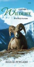A Field Guide to Wildlife of the Rocky Mountains