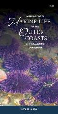 Field Guide to Marine Life of the Outer Coasts of the Salish Sea & Beyond