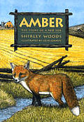 Amber The Story Of A Red Fox