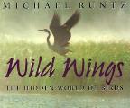 Wild Wings The Hidden World Of Birds