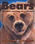 Bears Polar Bears Black Bears & Grizzly Bears