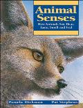 Animal Senses How Animals See Hear Taste Smell & Feel