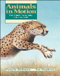 Animals In Motion How Animals Swim Jump