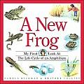 New Frog My First Look At The Life Cyc
