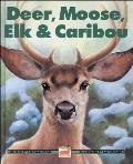 Deer Moose Elk & Caribou