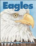 Eagles