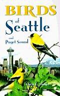 Birds Of Seattle & Puget Sound