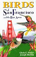 Birds Of San Francisco & The Bay Area