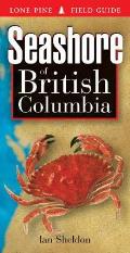 Seashore Of British Columbia