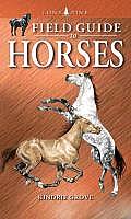 Field Guide To Horses