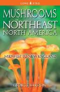 Mushrooms of Northeast North America Midwest to New England