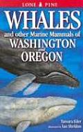 Whales & Other Marine Mammals of Washington & Oregon