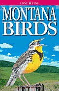 Montana Birds