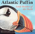 Atlantic Puffin Little Brother of the North