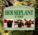 Step By Step Guide To Houseplant Care