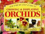 Growing & Displaying Orchids A Step By