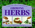 Creative Step By Step Guide To Growing Herbs