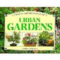 Creative Step By Step Guide To Urban Garden