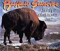Buffalo Sunrise The Story Of A North Ame