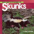 Welcome to the World of Skunks