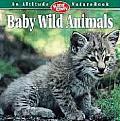 Baby Wild Animals Altitude Nature Book