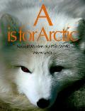 A Is For Arctic