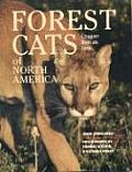 Forest Cats Of North America Cougars