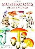 Mushrooms Of The World With 20 Photogr