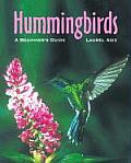 Hummingbirds A Beginners Guide