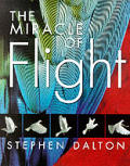 Miracle Of Flight