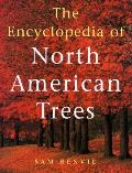 Encyclopedia Of North American Trees