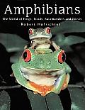 Amphibians The World Of Frogs Toads