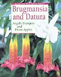 Brugmansia & Datura Angels Trumpets & Thorn Apples