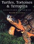 Turtles Tortoises & Terrapins Survivors in Armor