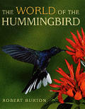 World Of The Hummingbird