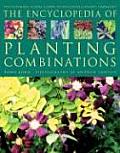 Encyclopedia Of Planting Combinations