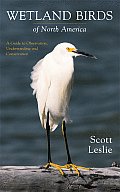 Wetland Birds of North America A Guide to Observation Understanding & Conservation
