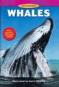 Investigate Whales
