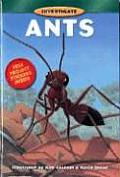 Investigate Ants