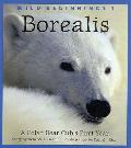 Borealis: A Polar Bear Cub's First Year