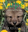 Wild Beginnings 02 Lupe Wolf Cub First Y